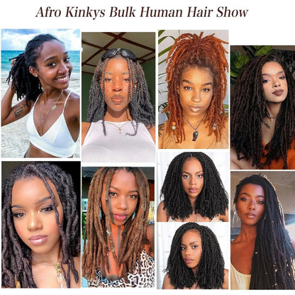 4C Afro Kinky Bulk Human Hair Extensions No Weft 30 Brazilian Remy Bulk for Locs Micro Twist Braiding Hair